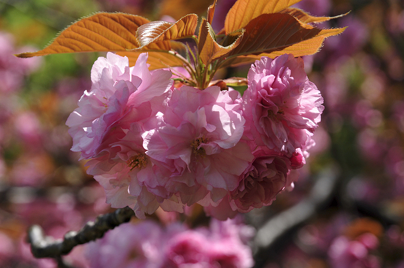 image0104