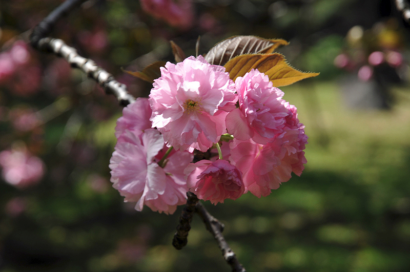 image0114