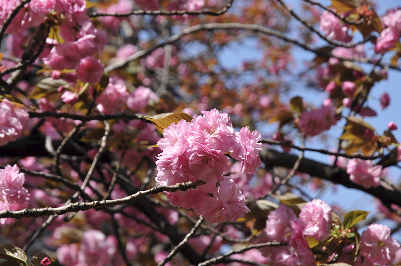 image0116