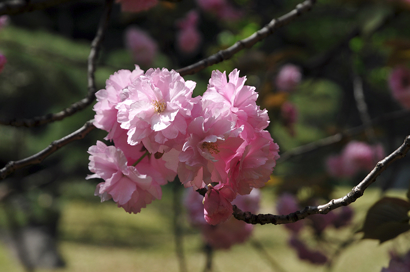 image0119