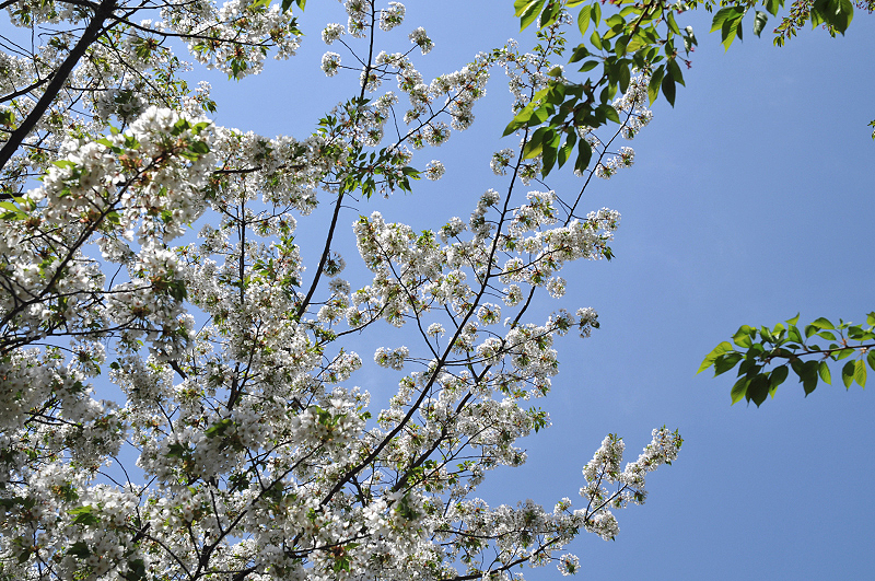 image0127