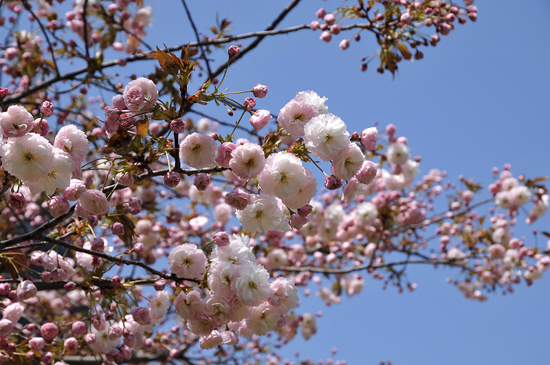 image0128
