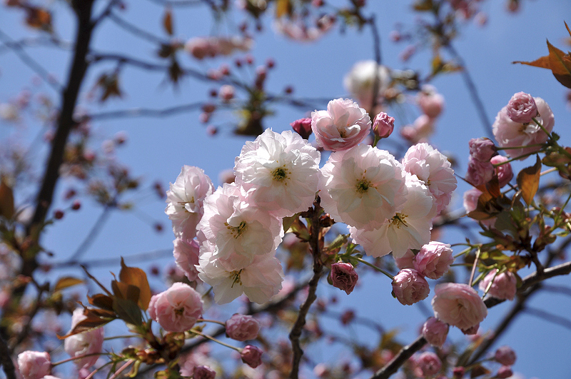 image0130
