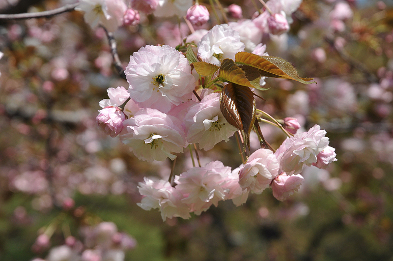 image0146