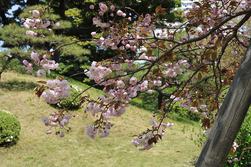 image0152