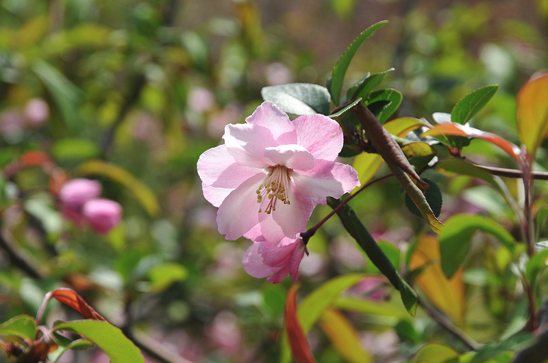 image0100