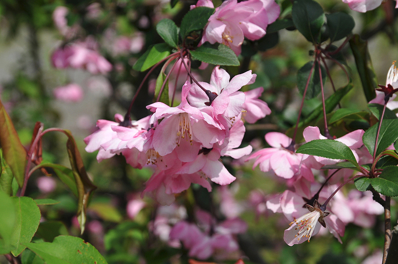 image0102