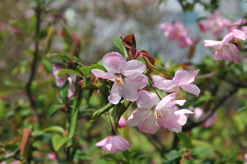 image0103