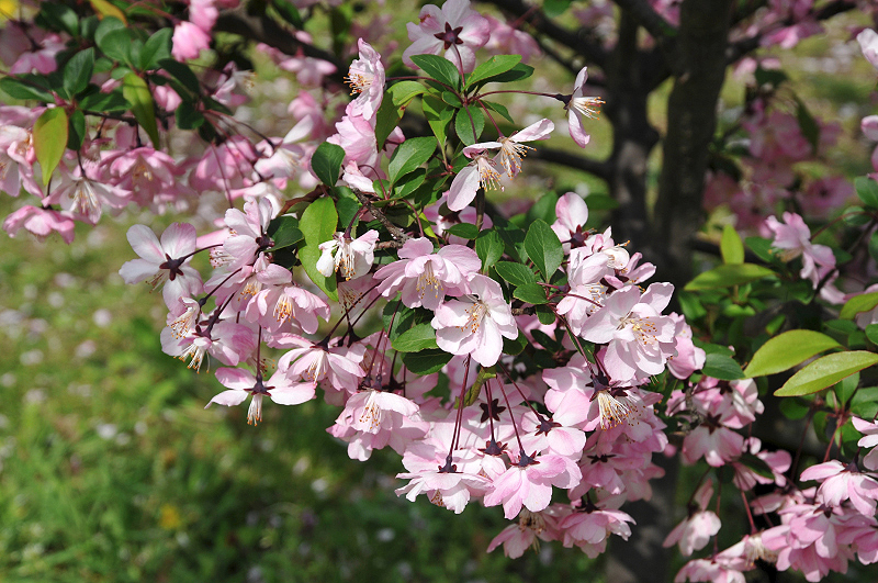 image0104