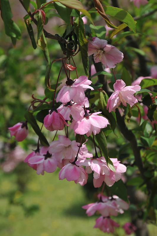 image0106