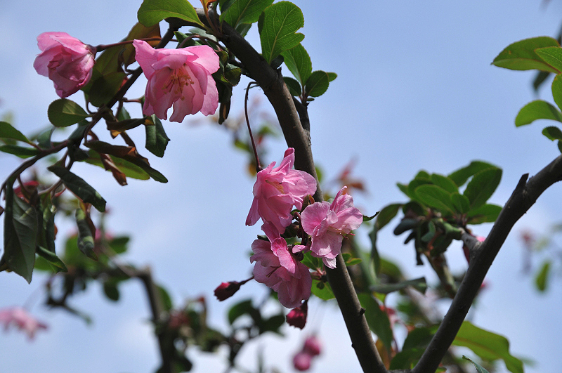 image0107
