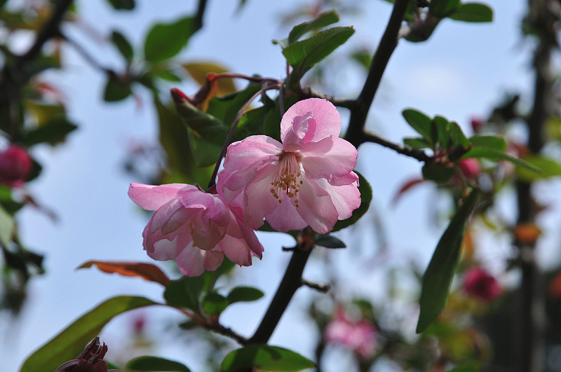 image0108