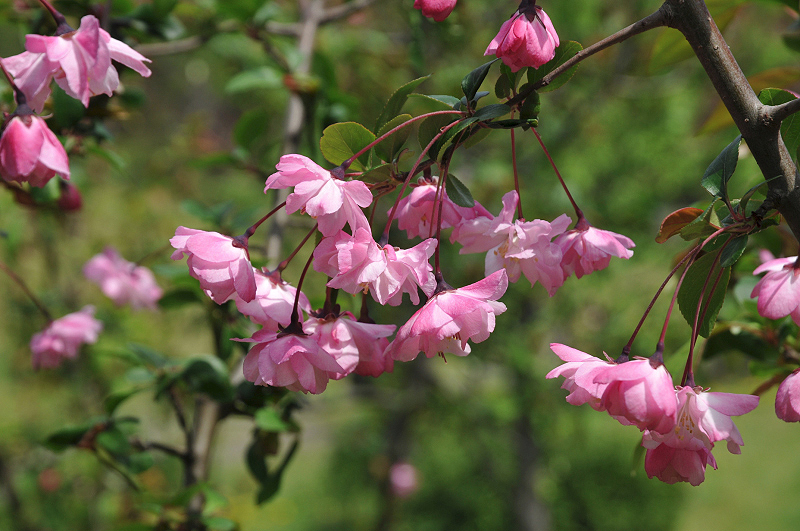 image0109