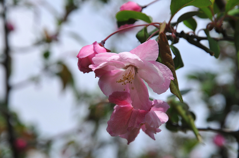 image0111