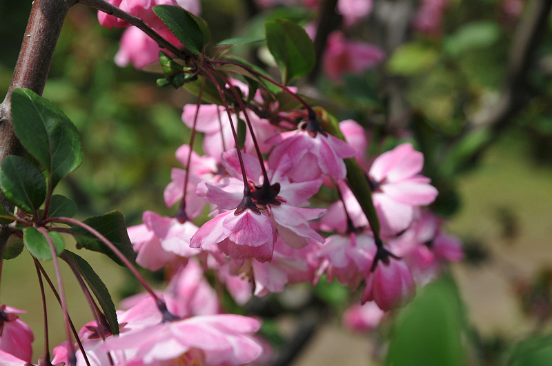 image0112