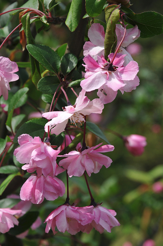 image0113