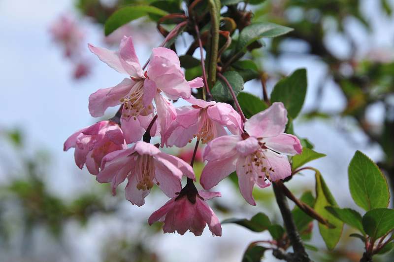 image0114