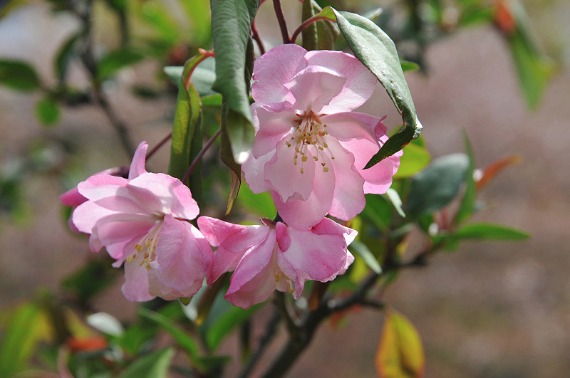 image0116