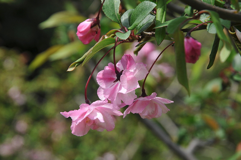 image0117