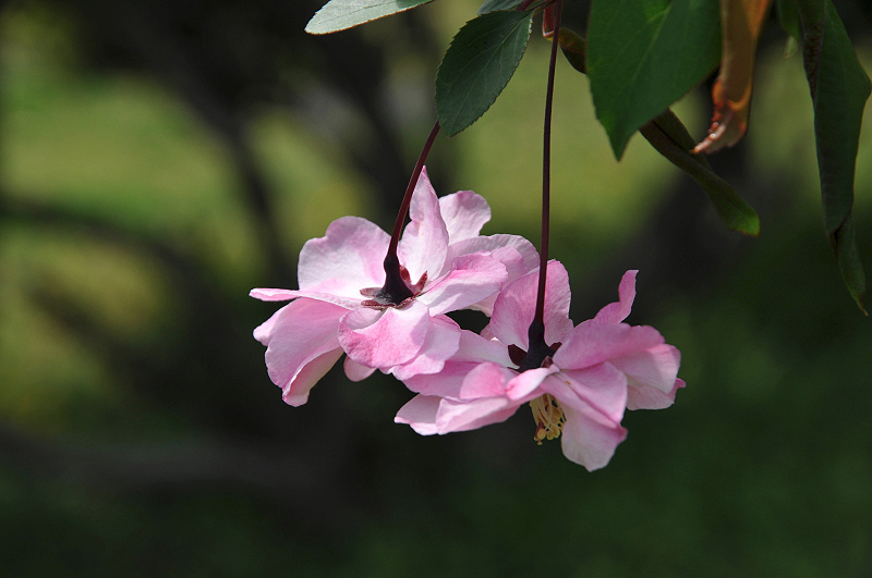 image0118