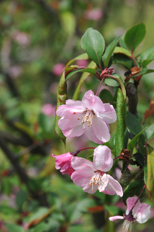 image0119
