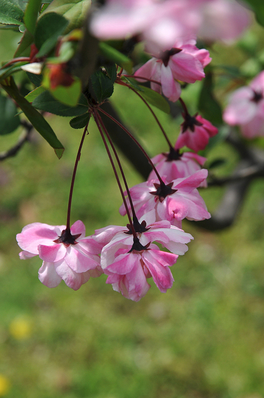 image0120