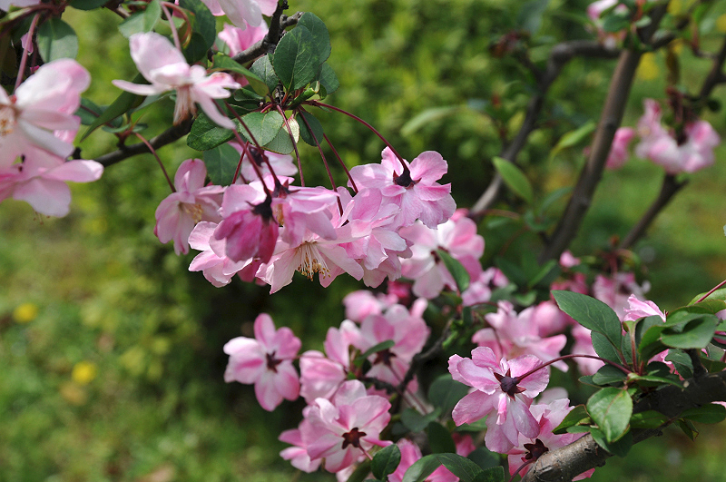 image0121