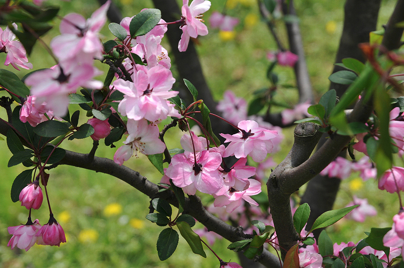 image0122