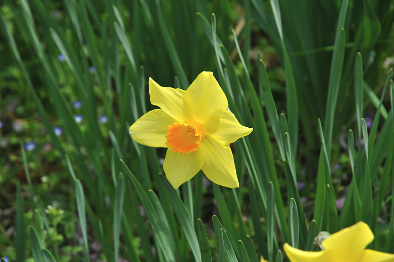 image0125