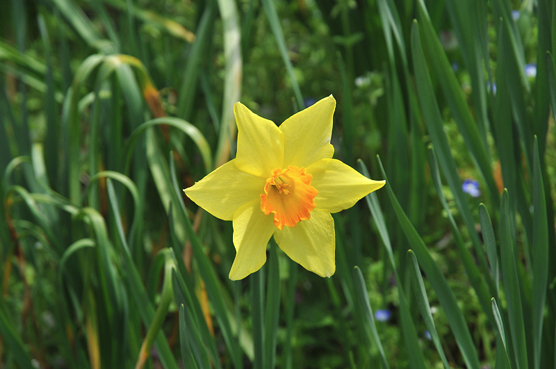 image0126