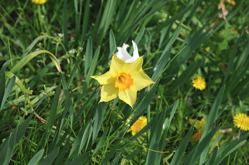 image0128
