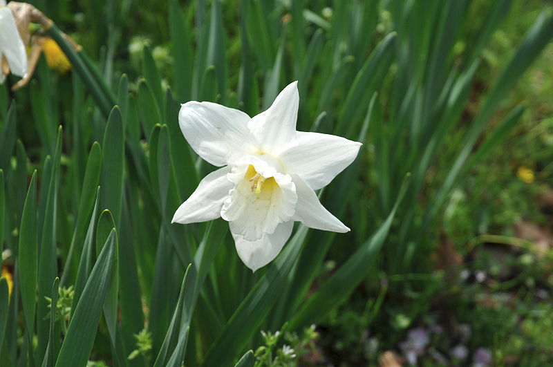 image0129
