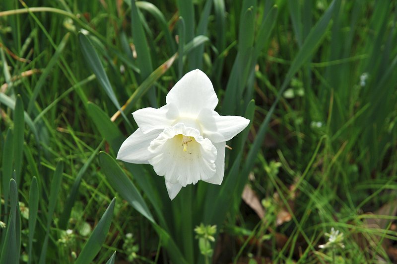 image0130