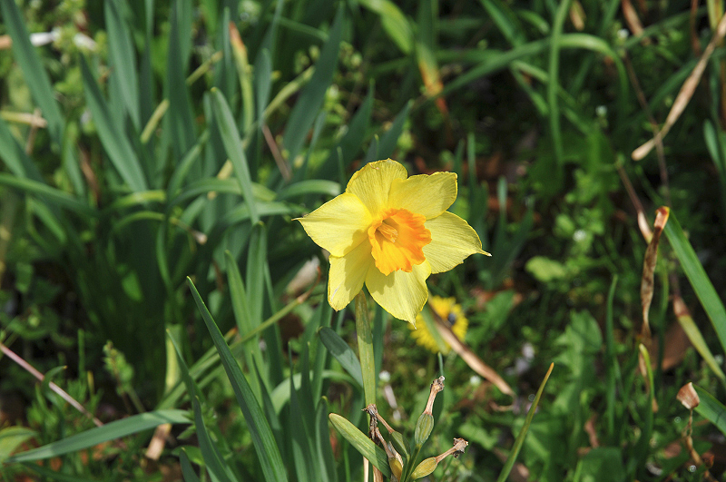 image0131
