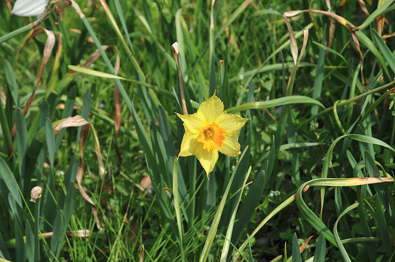 image0132