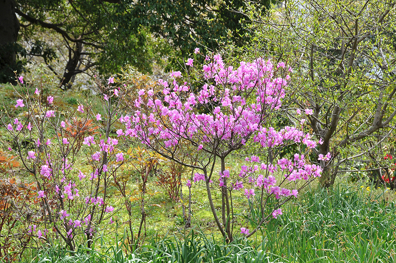 image0133