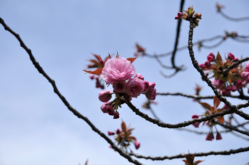 image0134