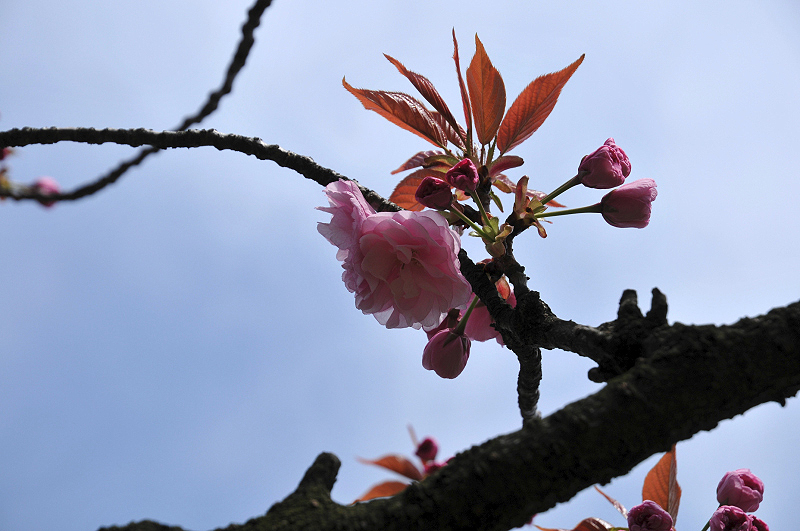 image0137