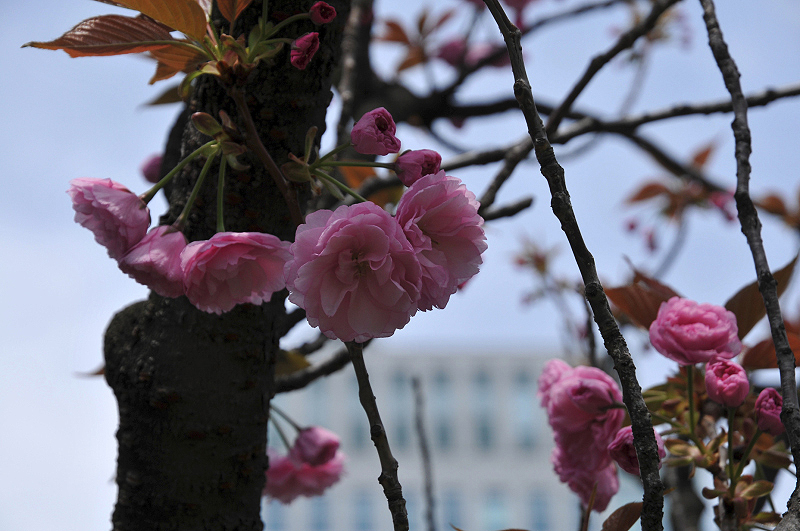 image0139