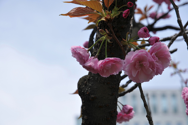 image0140
