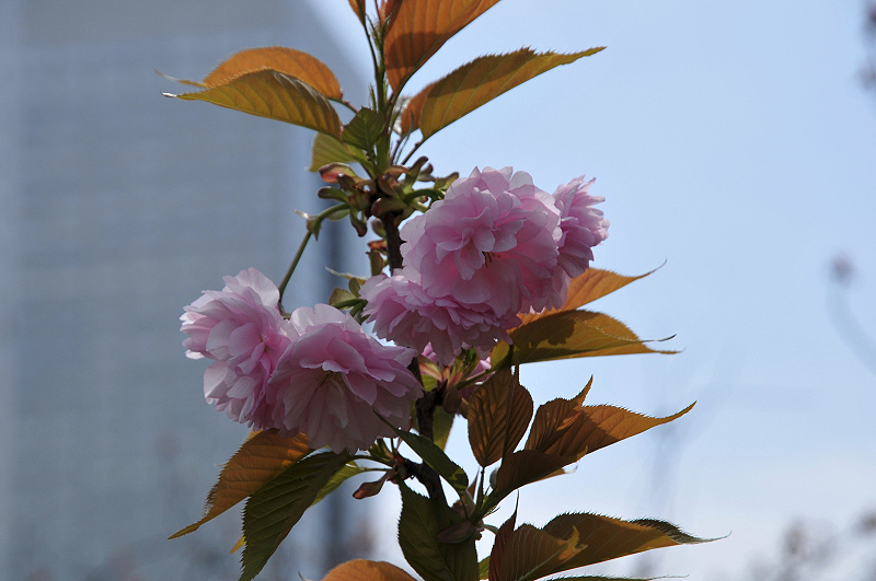 image0142