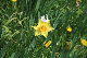 image0128