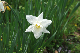 image0129