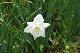 image0130