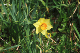 image0131