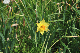 image0132