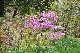 image0133