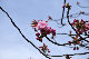 image0134