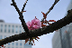 image0135