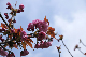image0136